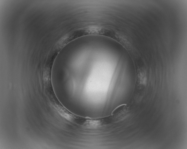 X0000081300665200701111426