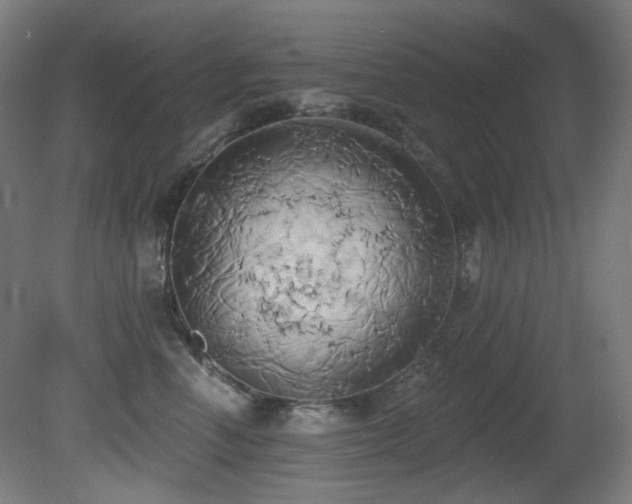 X0000081300666200701111426