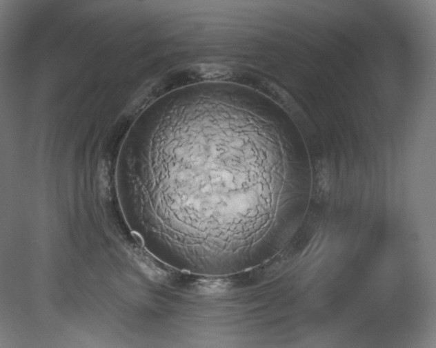 X0000081300667200701111426