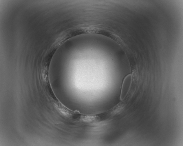 X0000081300671200701111426