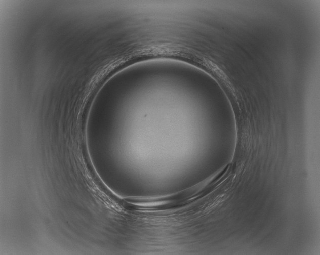 X0000081300673200701111425