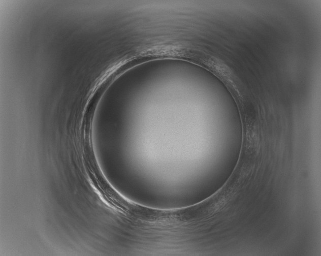 X0000081300674200701111425