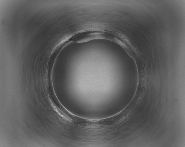X0000081300677200701111425