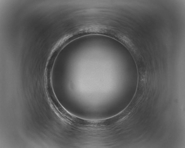 X0000081300678200701111425