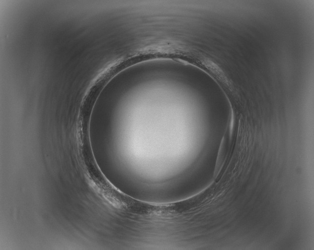 X0000081300680200701111425