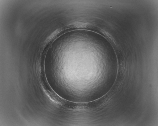 X0000081300682200701111425
