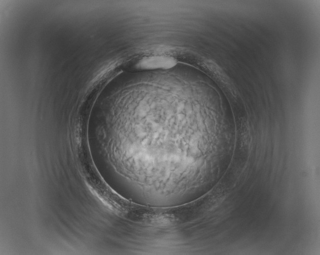 X0000081300683200701111425