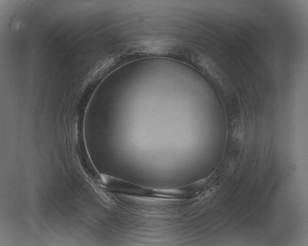 X0000081300685200701111425