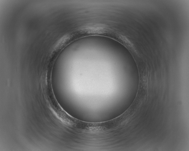 X0000081300686200701111425