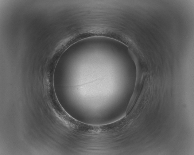 X0000081300688200701111425