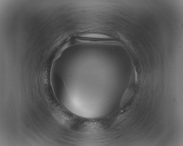 X0000081300689200701111425