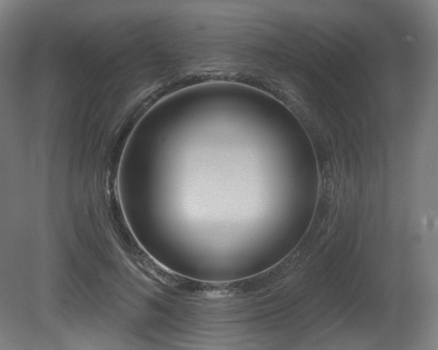 X0000081300692200701111425