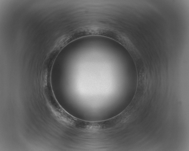X0000081300694200701111425