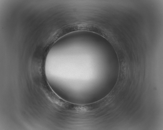 X0000081300698200701111425