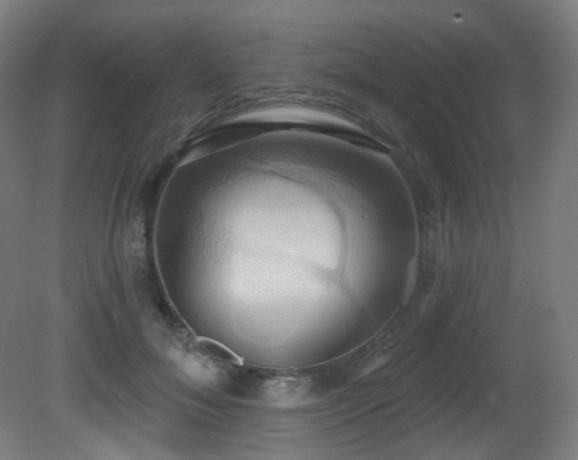 X0000081300700200701111425