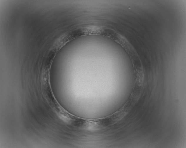X0000081300701200701111425
