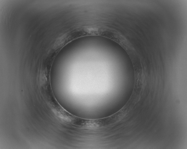 X0000081300702200701111425