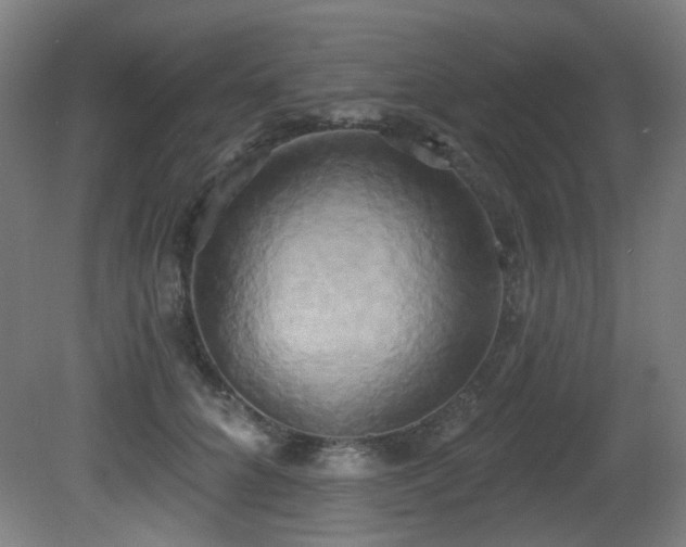X0000081300704200701111425