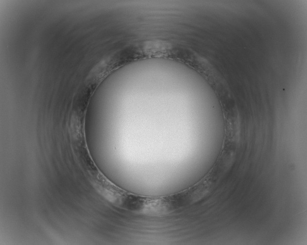 X0000081300705200701111425