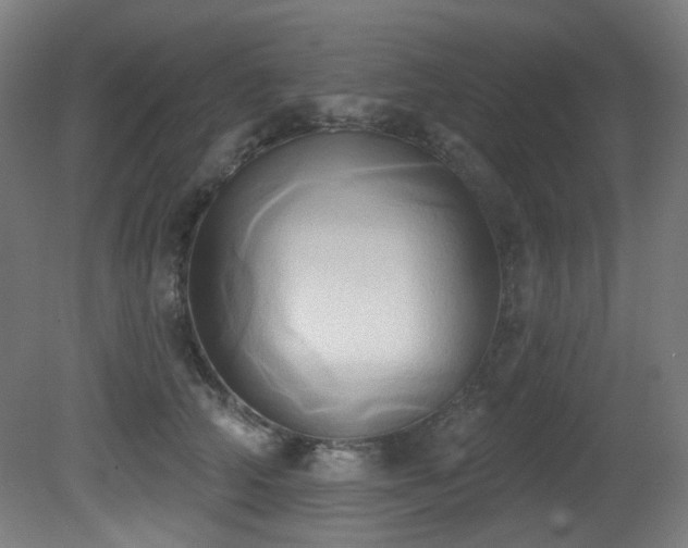 X0000081300706200701111425