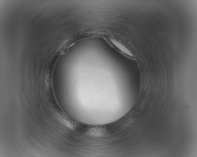 X0000081300708200701111425