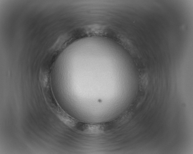 X0000081300709200701111425