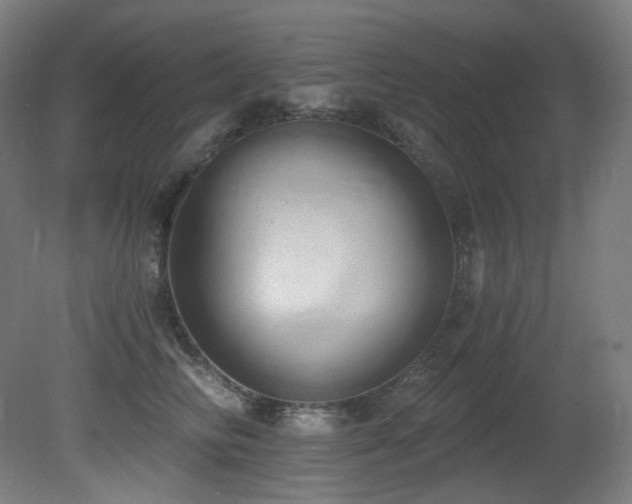 X0000081300710200701111425
