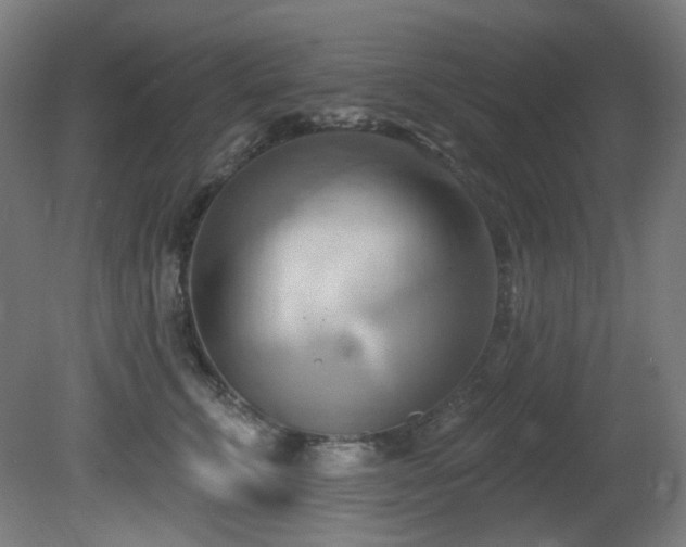 X0000081300711200701111425