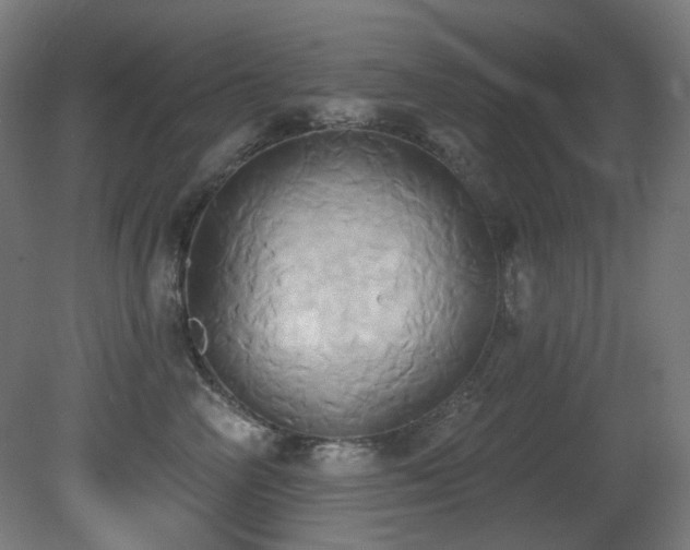 X0000081300714200701111425