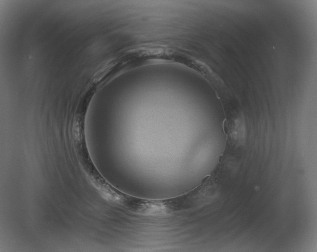 X0000081300715200701111425