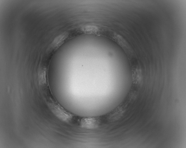 X0000081300717200701111424
