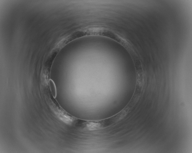 X0000081300718200701111424