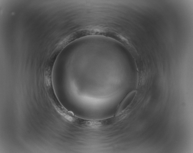 X0000081300719200701111424