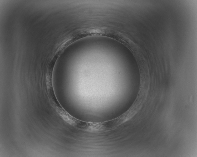 X0000081300720200701111424