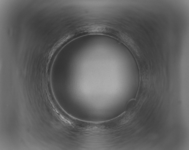 X0000081300721200701111424