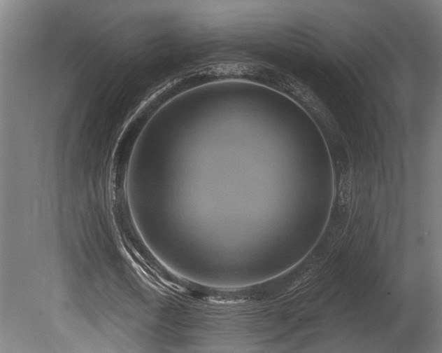 X0000081300722200701111424