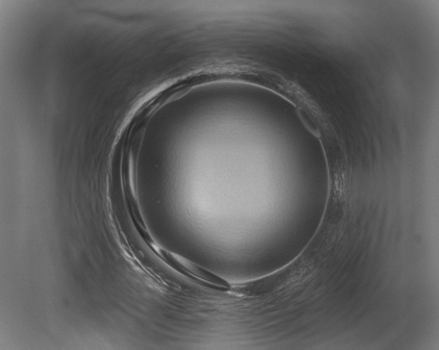 X0000081300724200701111424
