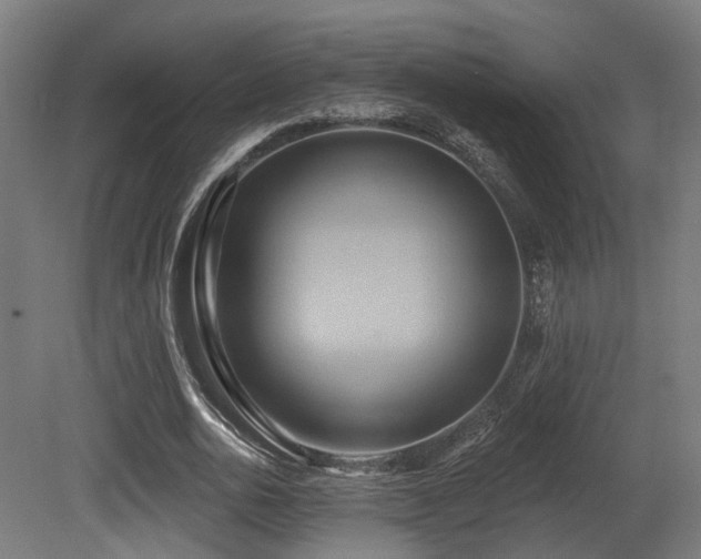 X0000081300726200701111424