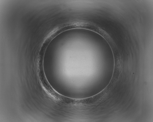 X0000081300730200701111424