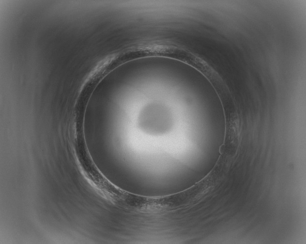 X0000081300734200701111424