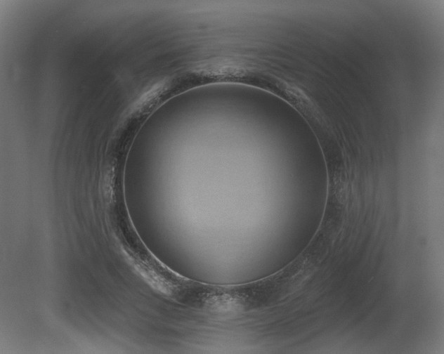 X0000081300735200701111424