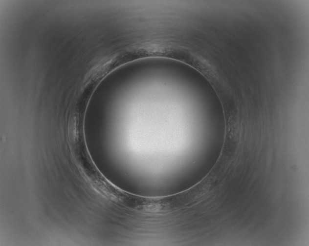 X0000081300740200701111424