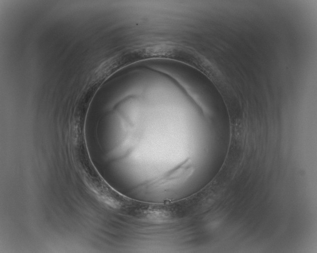 X0000081300741200701111424