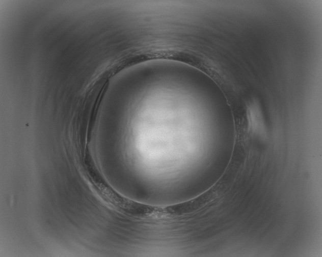 X0000081300742200701111424