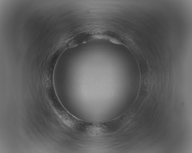 X0000081300743200701111424
