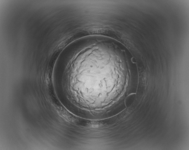 X0000081300746200701111424