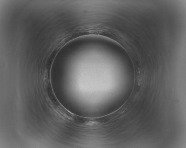 X0000081300748200701111424