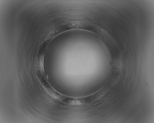 X0000081300751200701111424