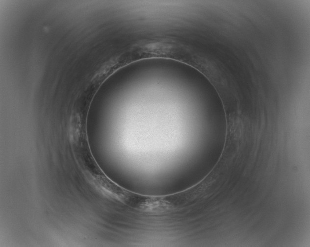X0000081300752200701111424