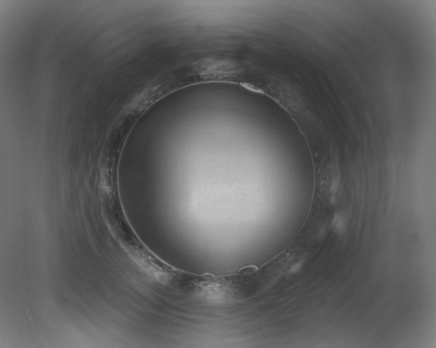 X0000081300755200701111424